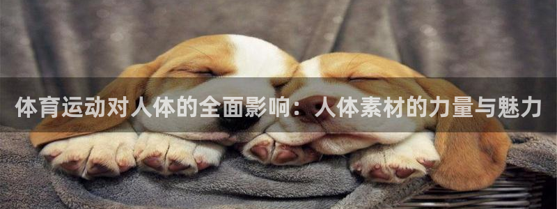 星速体育app官方下载：体育运动对人体的全面影响：人体素材的力量与魅力