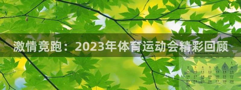 星速体育手机版：激情竞跑：2023年体育运动会精彩回顾