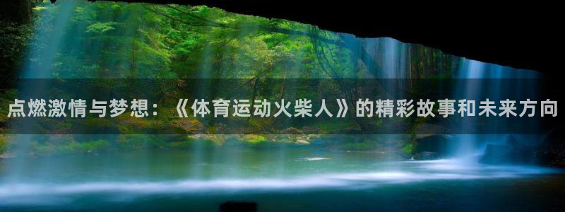 星速体育改名了吗：点燃激情与梦想：《体育运动火柴人》的精彩故事和未来方向
