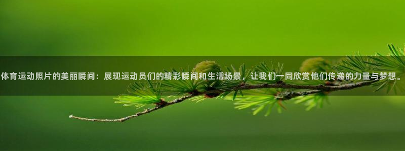 星速体育app免费下载安装：体育运动照片的美丽瞬间：展现运动员们的精彩瞬间和生活场景，让我们一同欣赏他们传递的力量与梦想。