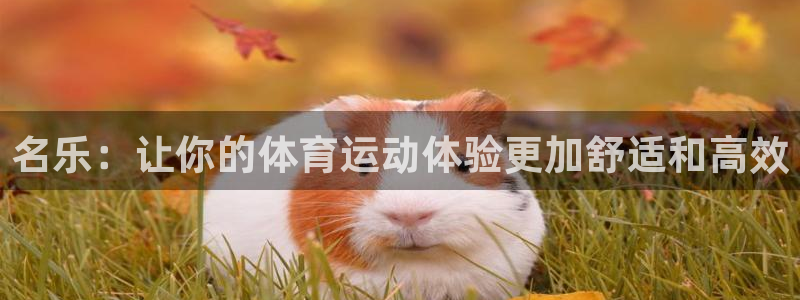 星速体育入口：名乐：让你的体育运动体验更加舒适和高效