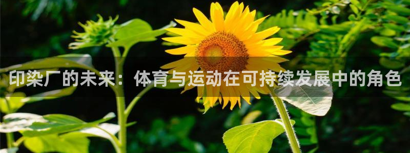 星速体育文化发展有限公司：印染厂的未来：体育与运动在可持续发展中的角色