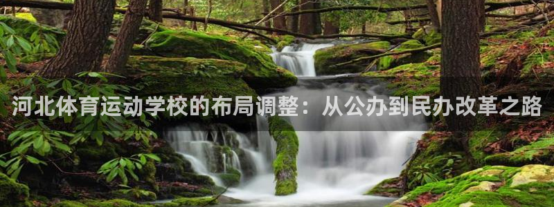 星速体育直播：河北体育运动学校的布局调整：从公办到民办改革之路
