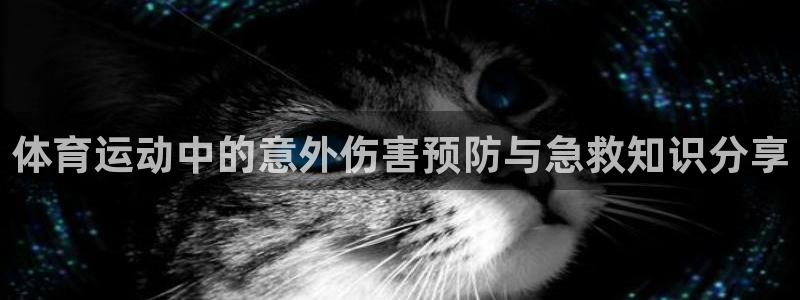 星速体育不能投屏：体育运动中的意外伤害预防与急救知识分享