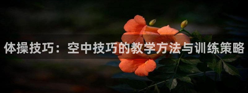 星速体育app下载安装：体操技巧：空中技巧的教学方法与训练策略