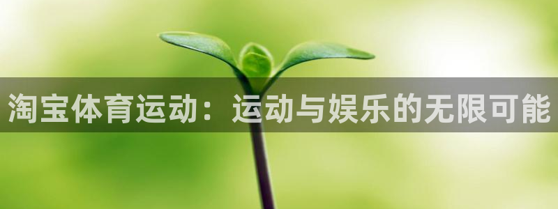 星速体育篮球直播：淘宝体育运动：运动与娱乐的无限可能