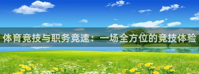 星速体育改名了吗：体育竞技与职务竞速：一场全方位的竞技体验